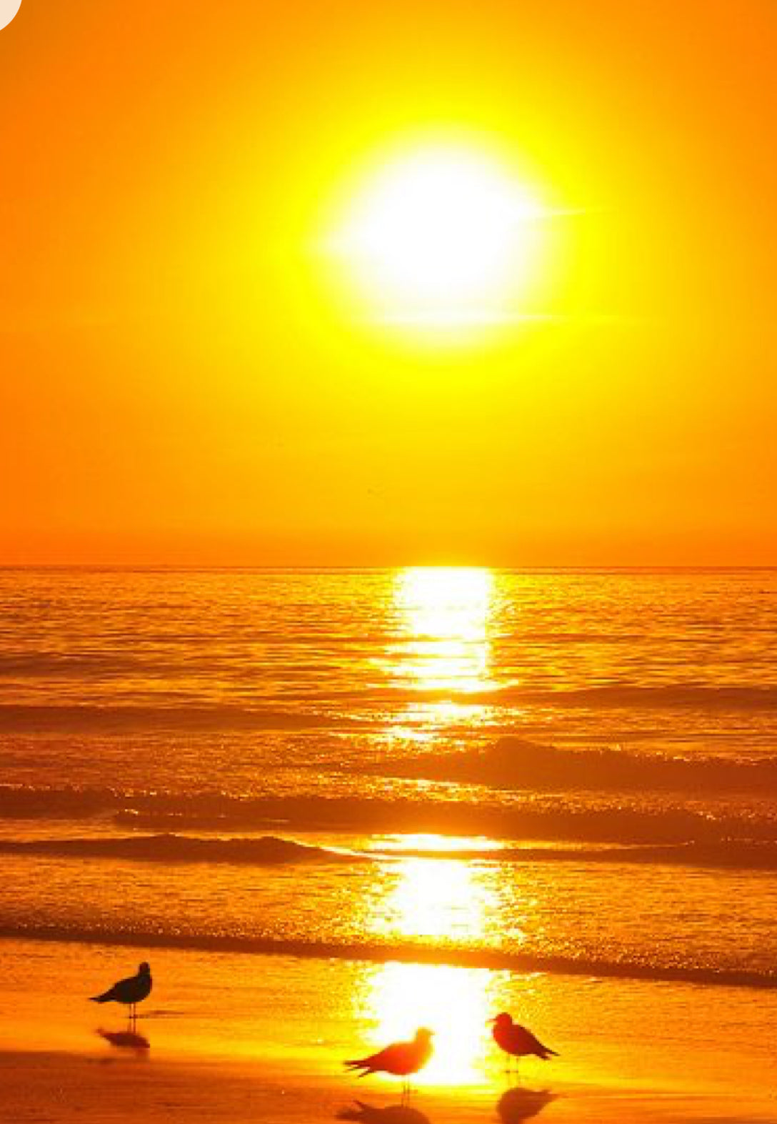 collezione mare 🫶🏻