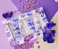 Kit tulipan sweet violeta