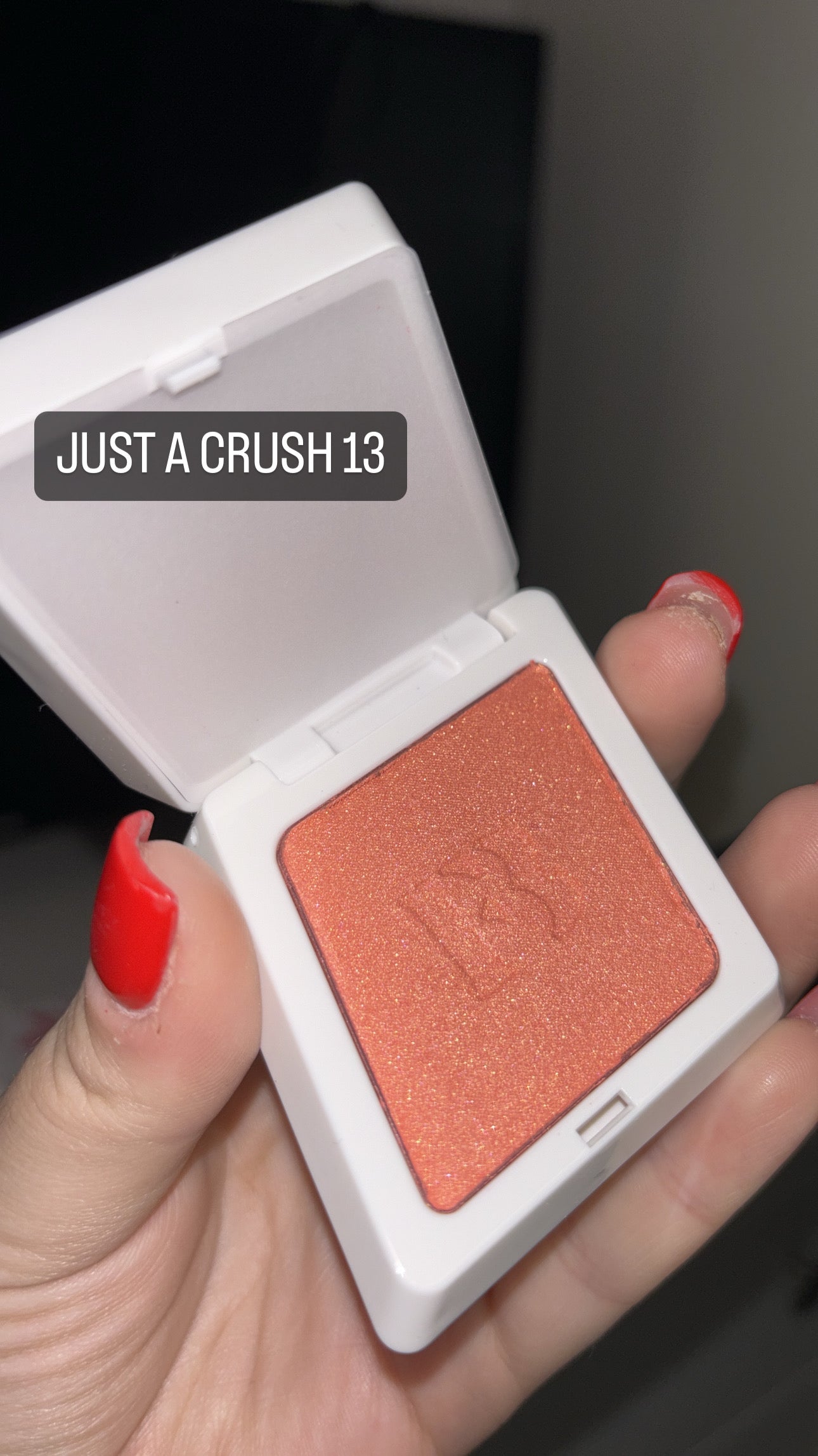 Blush è illuminante di fenty POLVERE